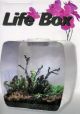 LIFE BOX BIANCO CON LUCI