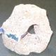 ROCCIA FRAGOLA MINI