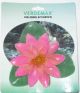 NINFEA ROSA GALLEGGIANTE