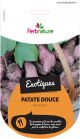 Patata_americana_dolce