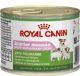STARTER MOUSSE MOTHER & BABYDOG GR.195 ROYAL