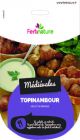 Topinambur tubero da seme