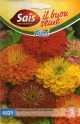 Zinnia gigante doppia in miscuglio