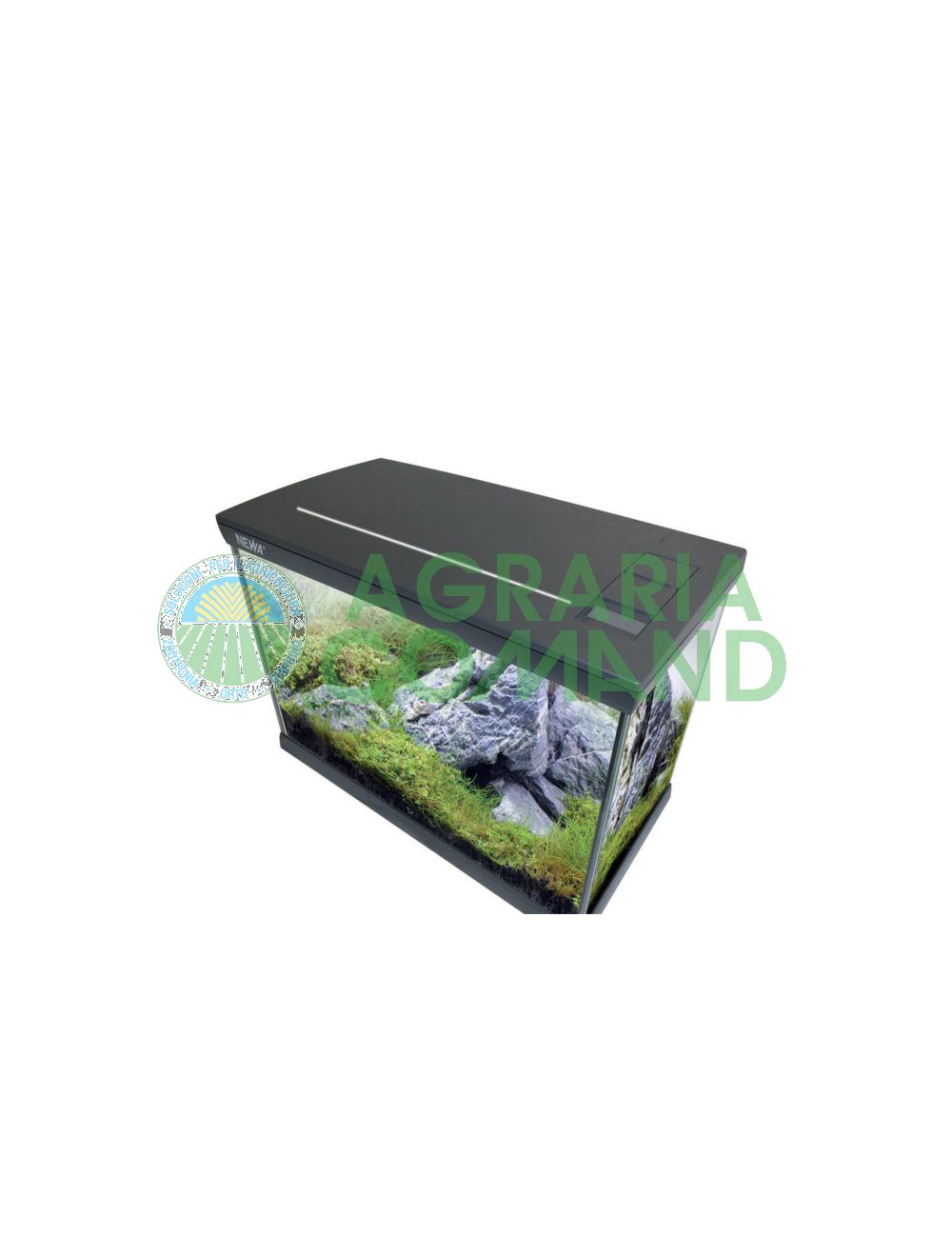 Acquario Mirabello Newa Acquario Mirabello Newa