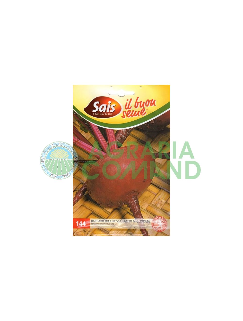 Barbabietola rossa Egitto Barbabietola rossa Egitto