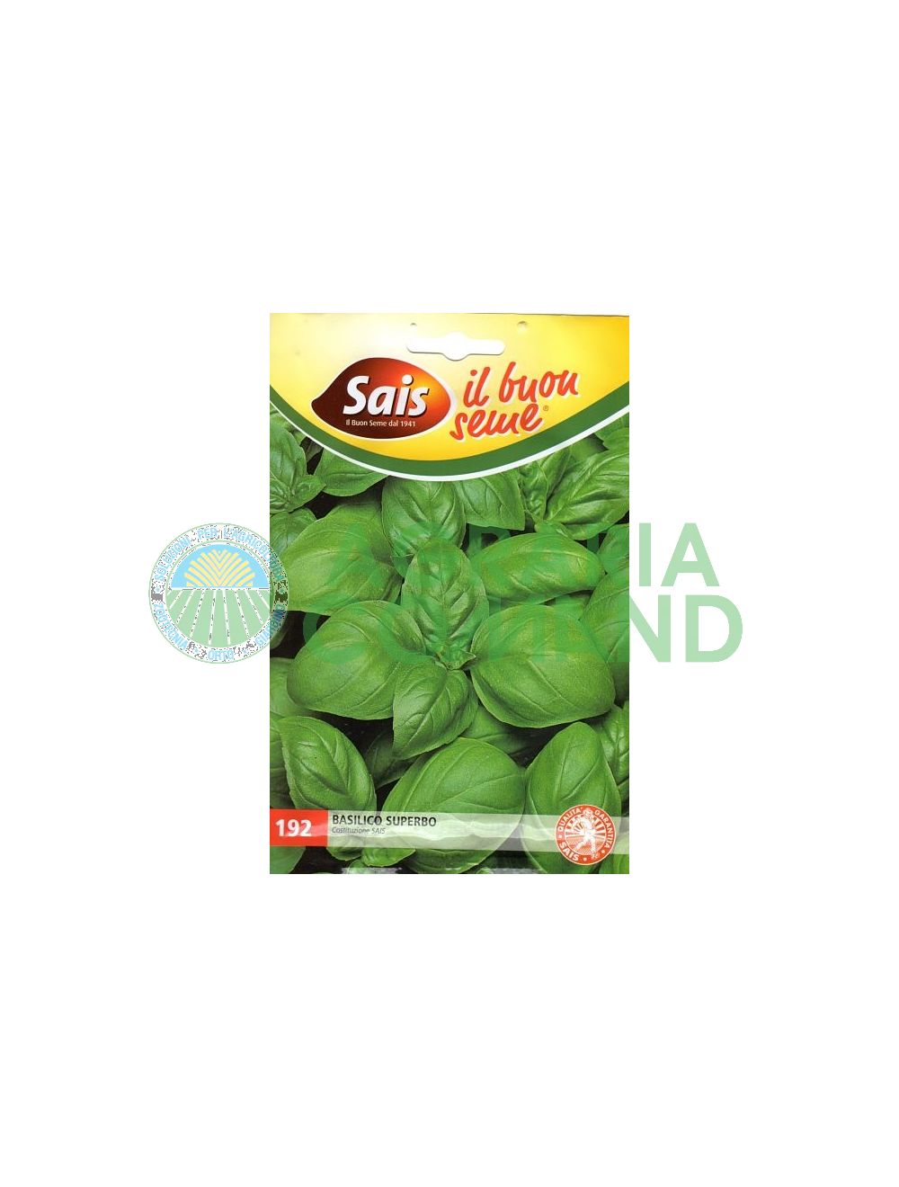 Basilico superbo Basilico superbo