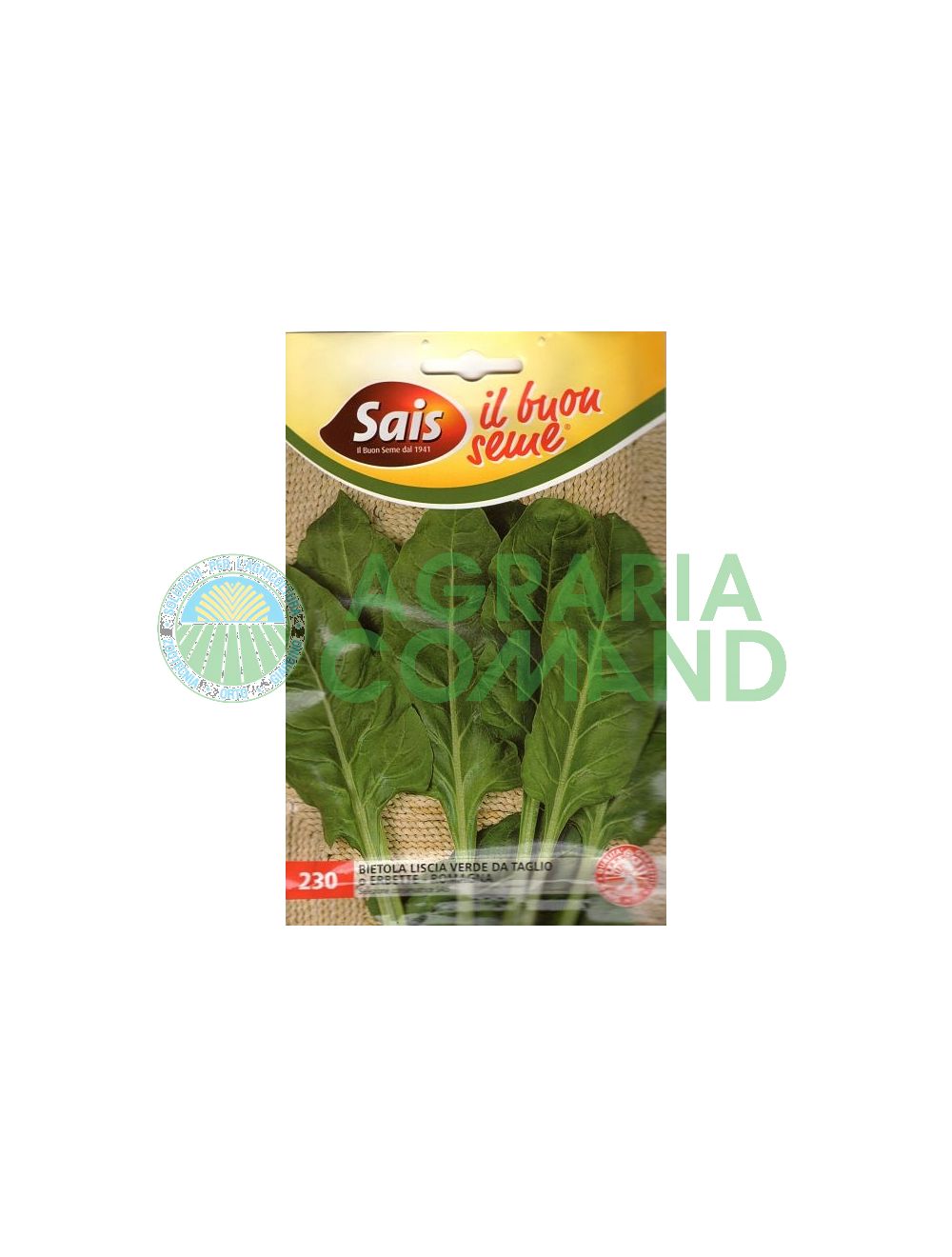 Bietola da taglio verde Bietola da taglio verde
