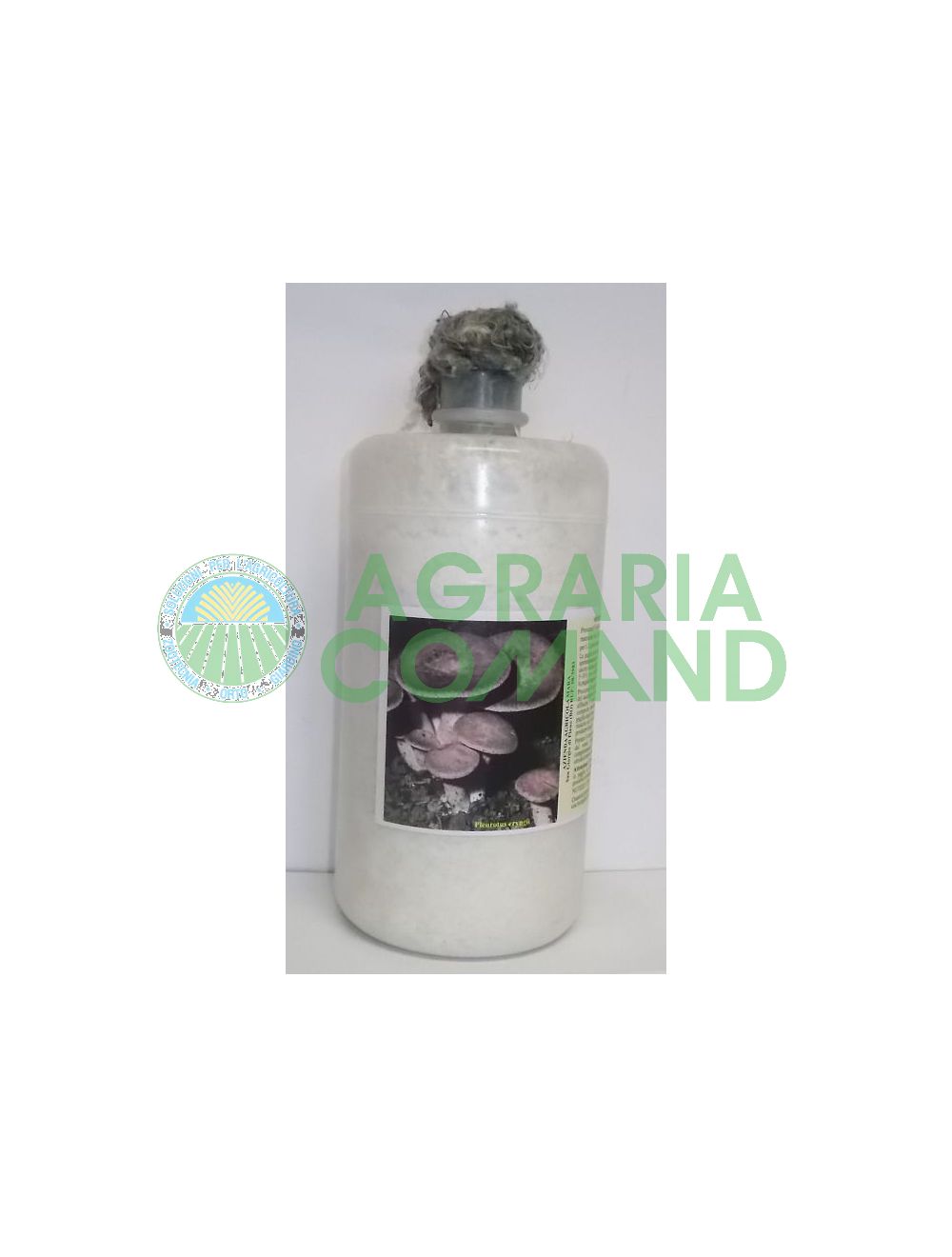 Micelio fresco Cardoncello Micelio fresco Cardoncello