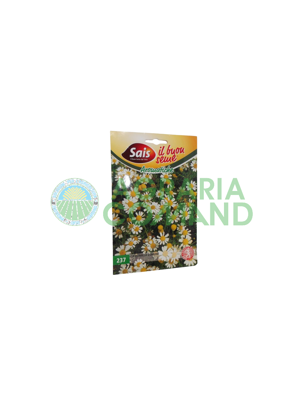 Seme camomilla comune Seme camomilla comune