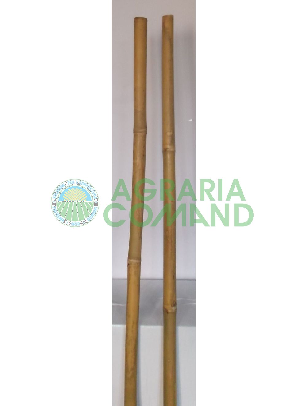 Tutore canna in bamboo