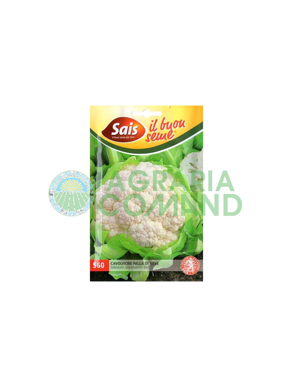Cavolfiore palla dineve Cavolfiore palla dineve
