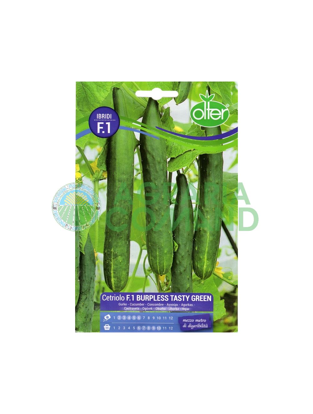 Cetriolo Burpless Tasty Green Cetriolo Burpless Tasty Green