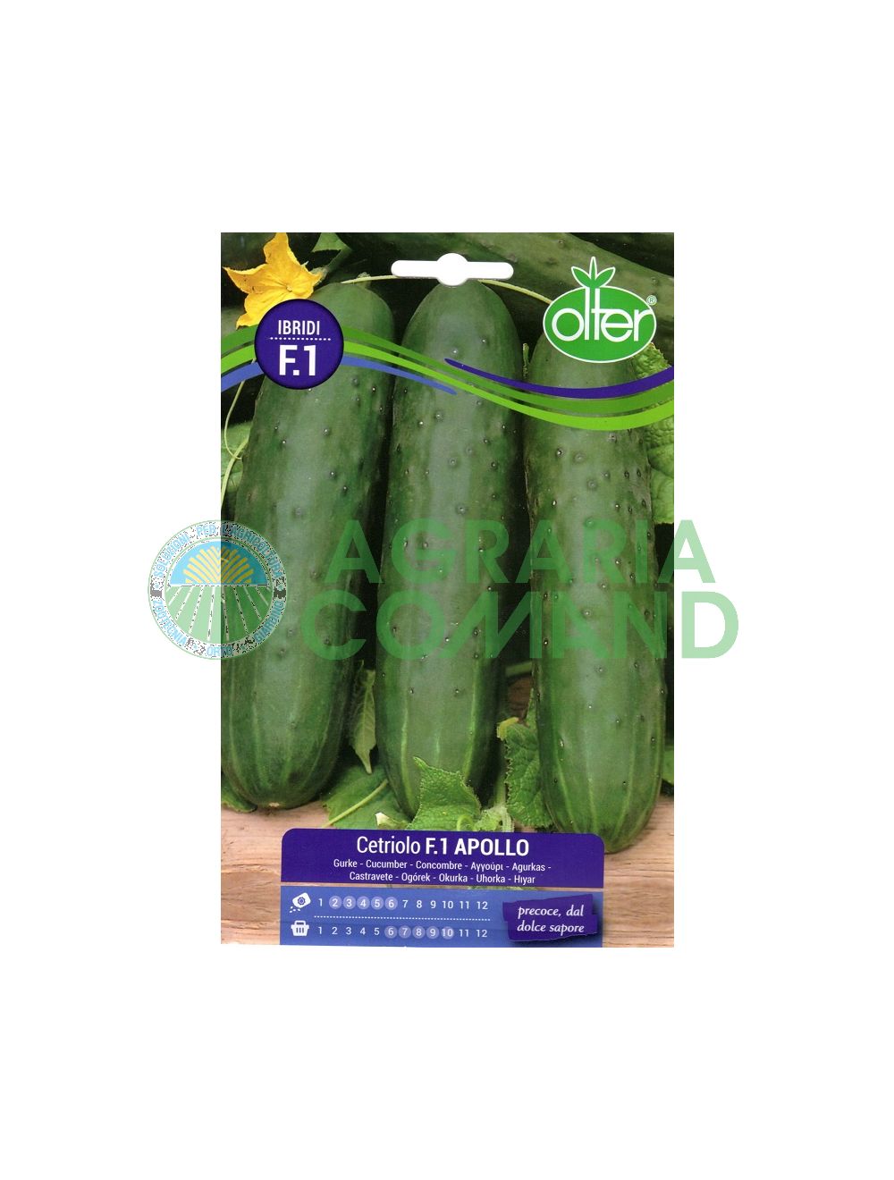 Cetriolo Apollo F.1 Cetriolo Apollo F.1