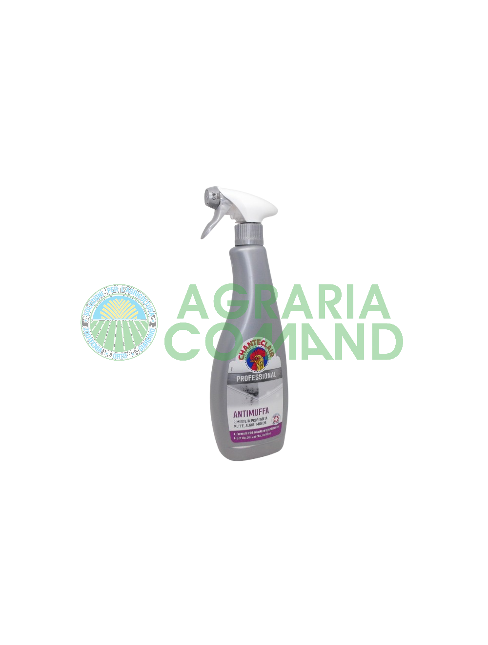 Prodotto antimuffa Chanteclair Professional Prodotto antimuffa Chanteclair Professional