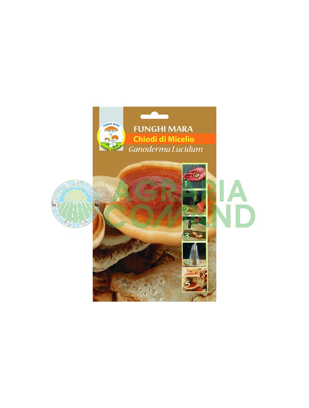 chiodi ganoderma lucidum chiodi ganoderma lucidum