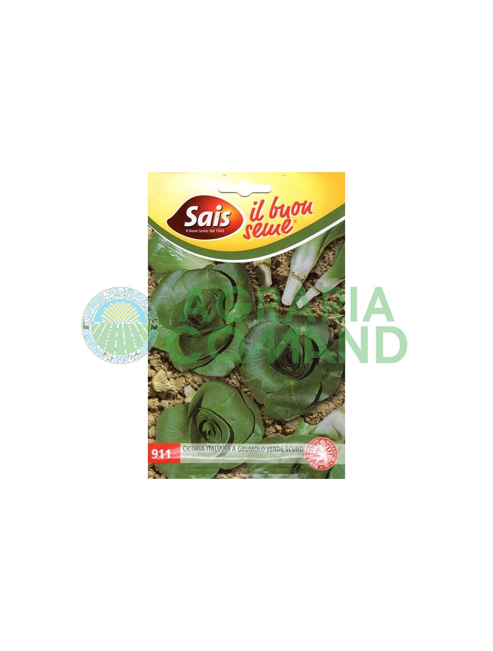 Cicoria a grumolo verde scuro Cicoria a grumolo verde scuro