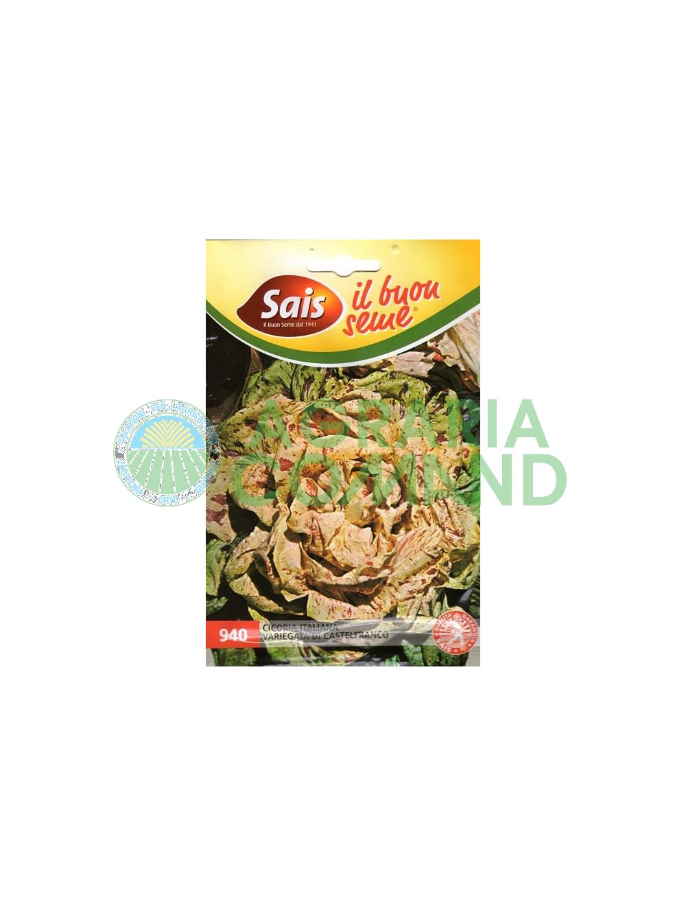 Cicoria variegata di Castelfranco Cicoria variegata di Castelfranco