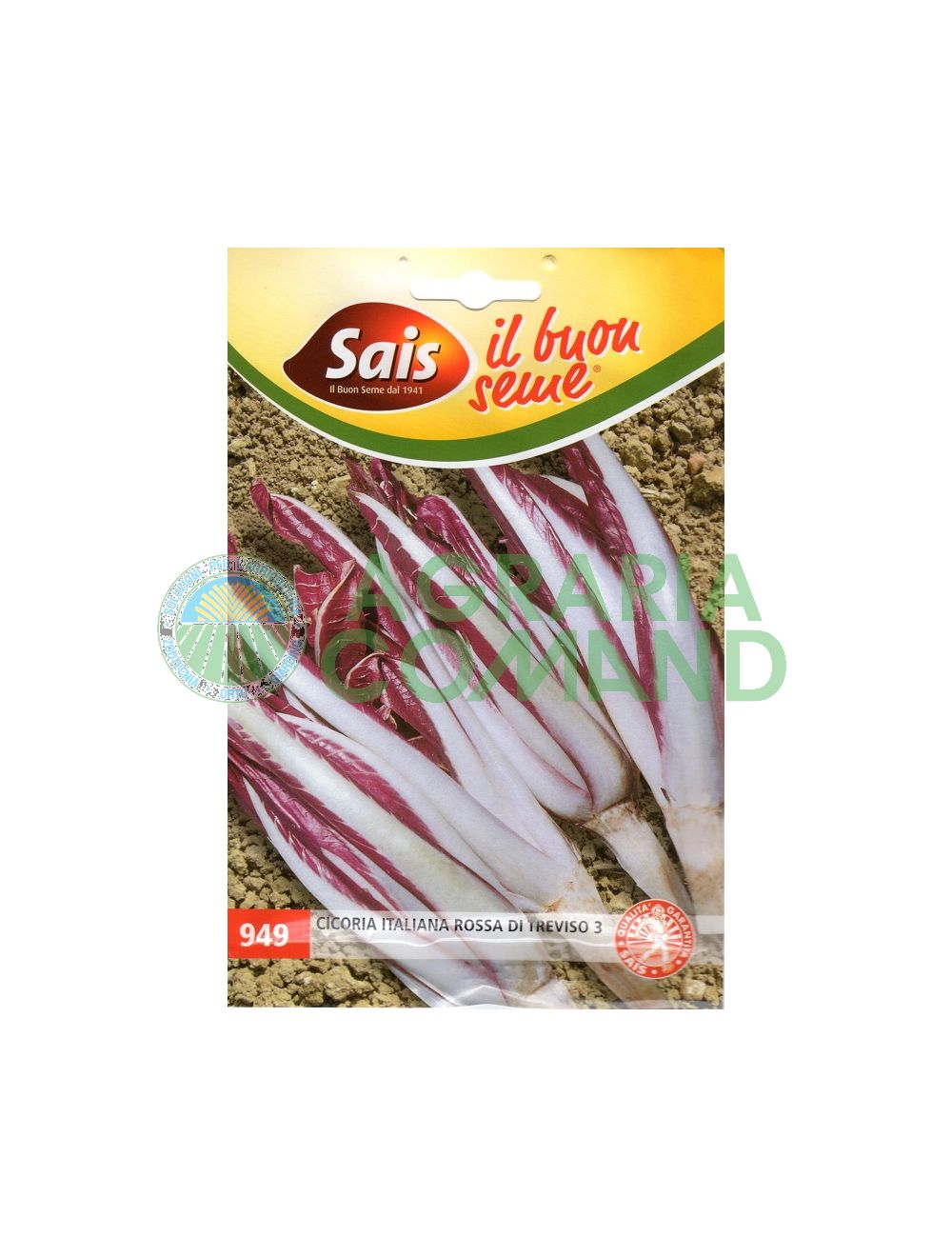 Cicoria di Treviso 3 Sais