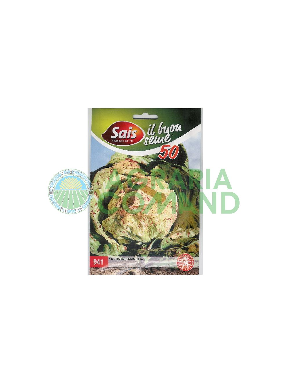 Cicoria Variegata di Luisa Cicoria Variegata di Luisa