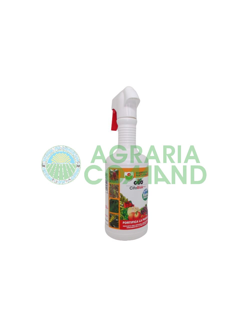 Cifo Block Cifo Block