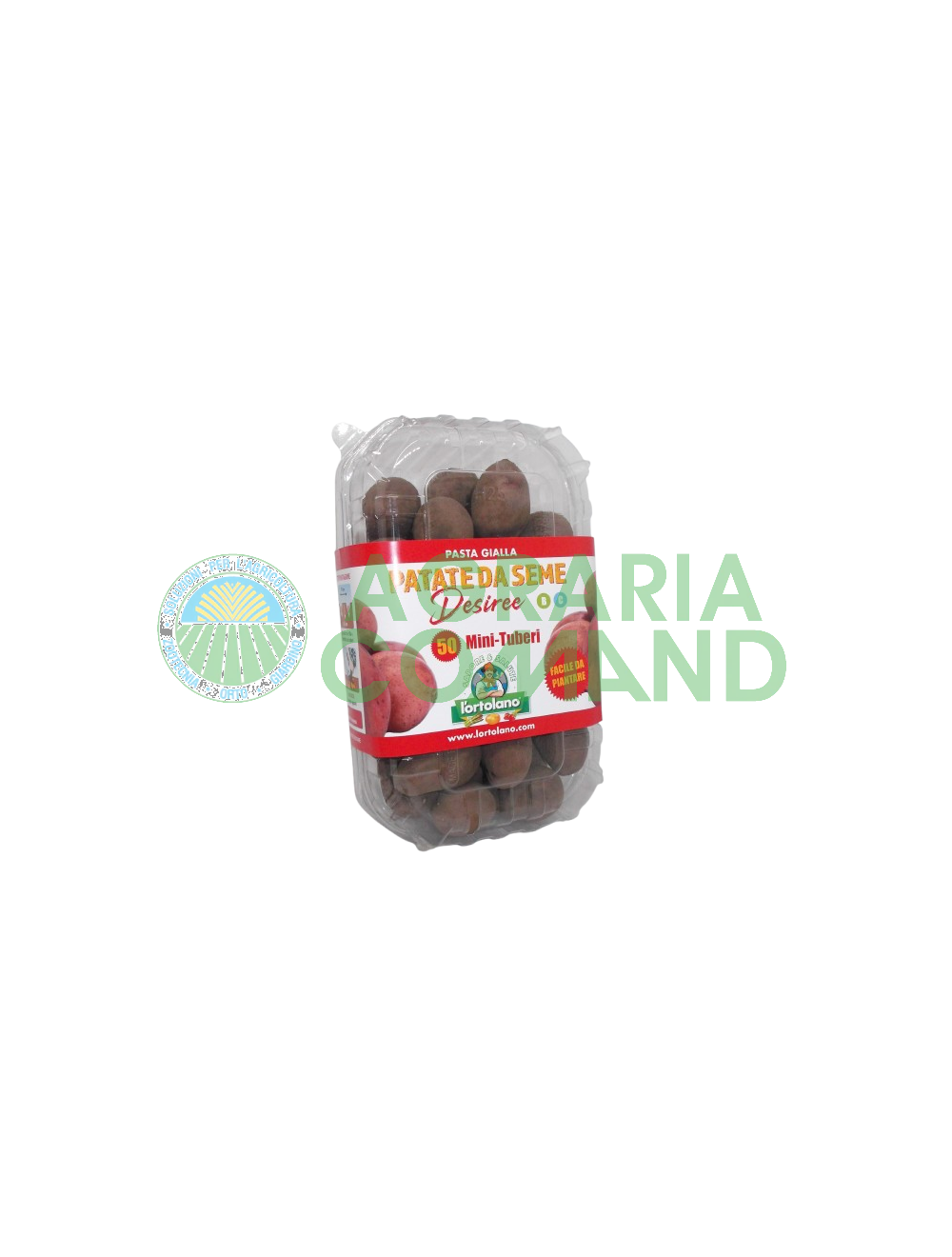 Confezione 50 mini tuberi Desiree