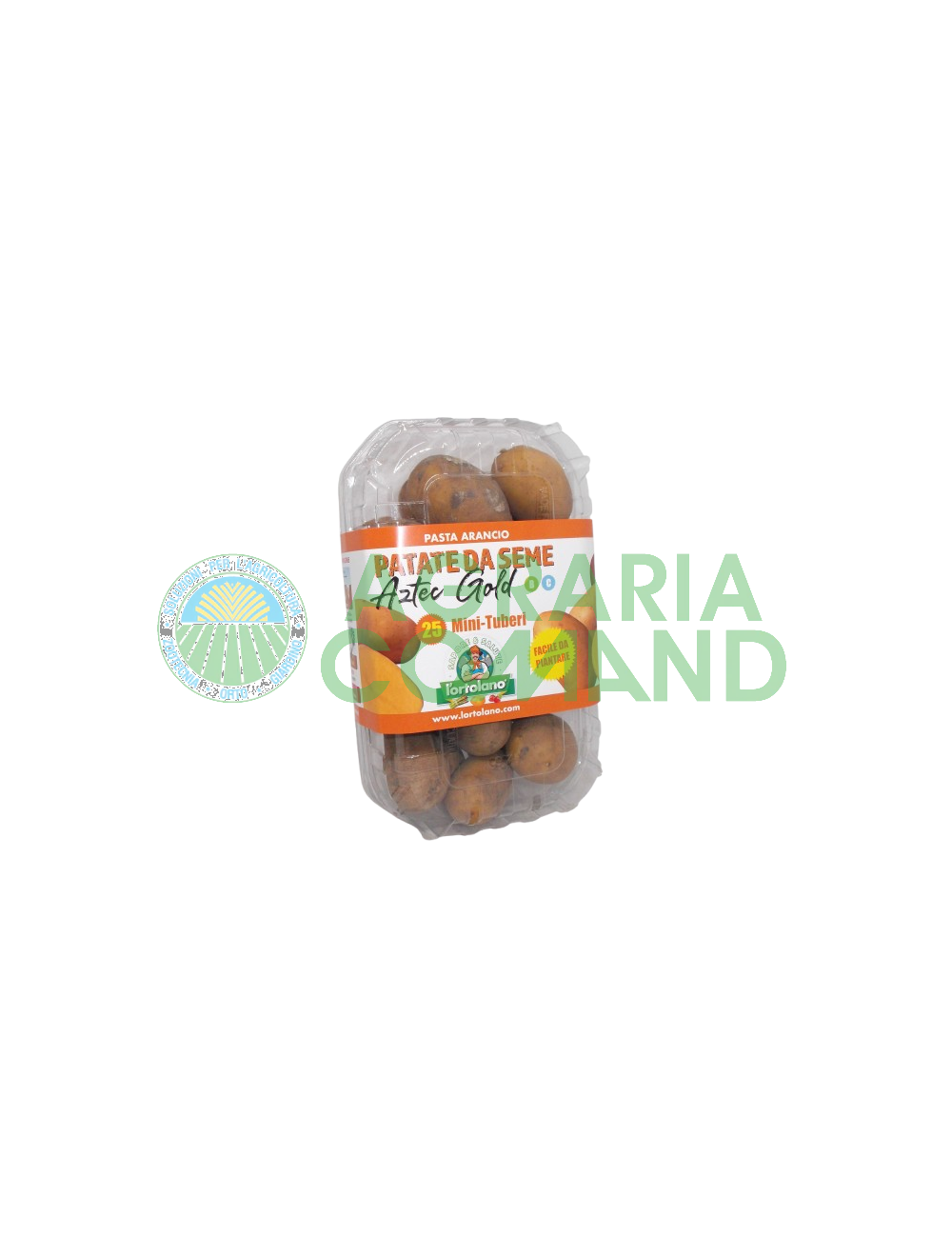 Confezione Aztec Gold Confezione Aztec Gold