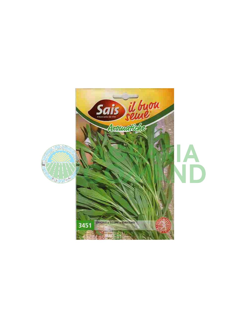 Seme Strigolo Sclupit Bubbolino