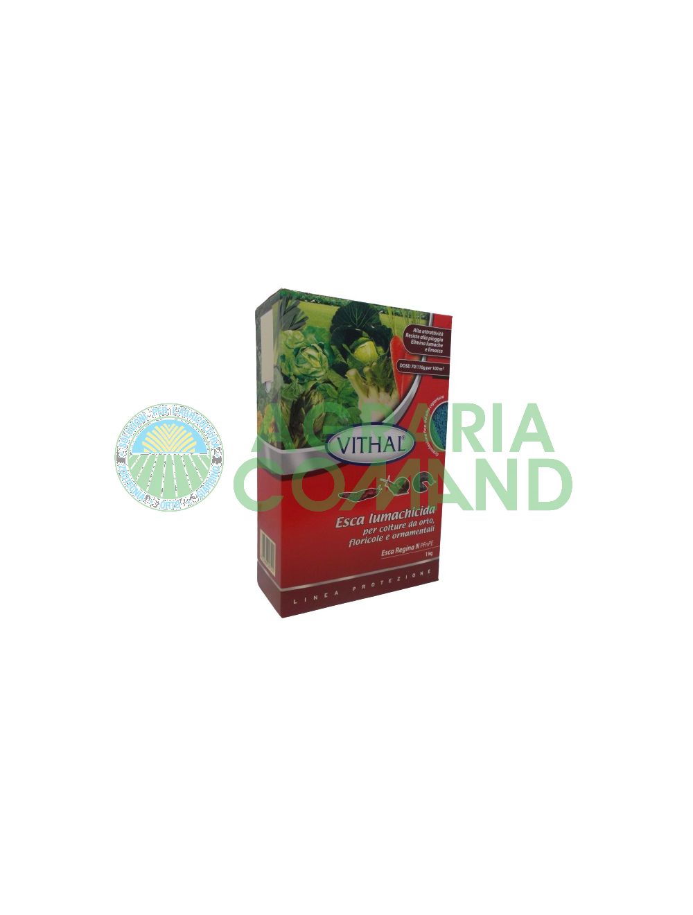 Esca lumachicida Regina Esca lumachicida Regina