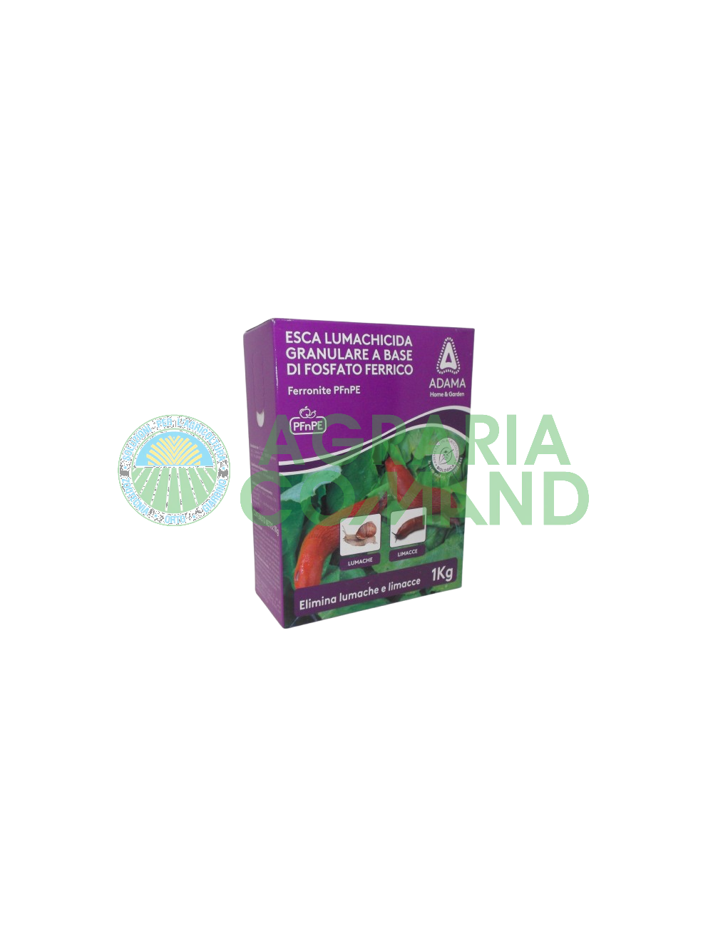 Esca lumachicida Adama