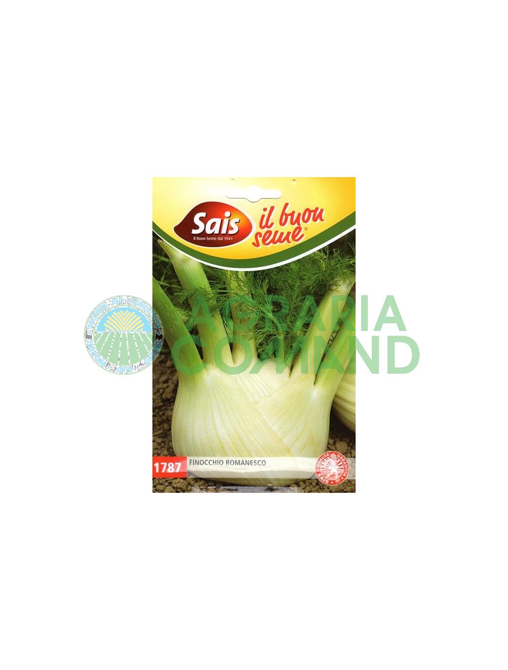 Finocchio Romanesco