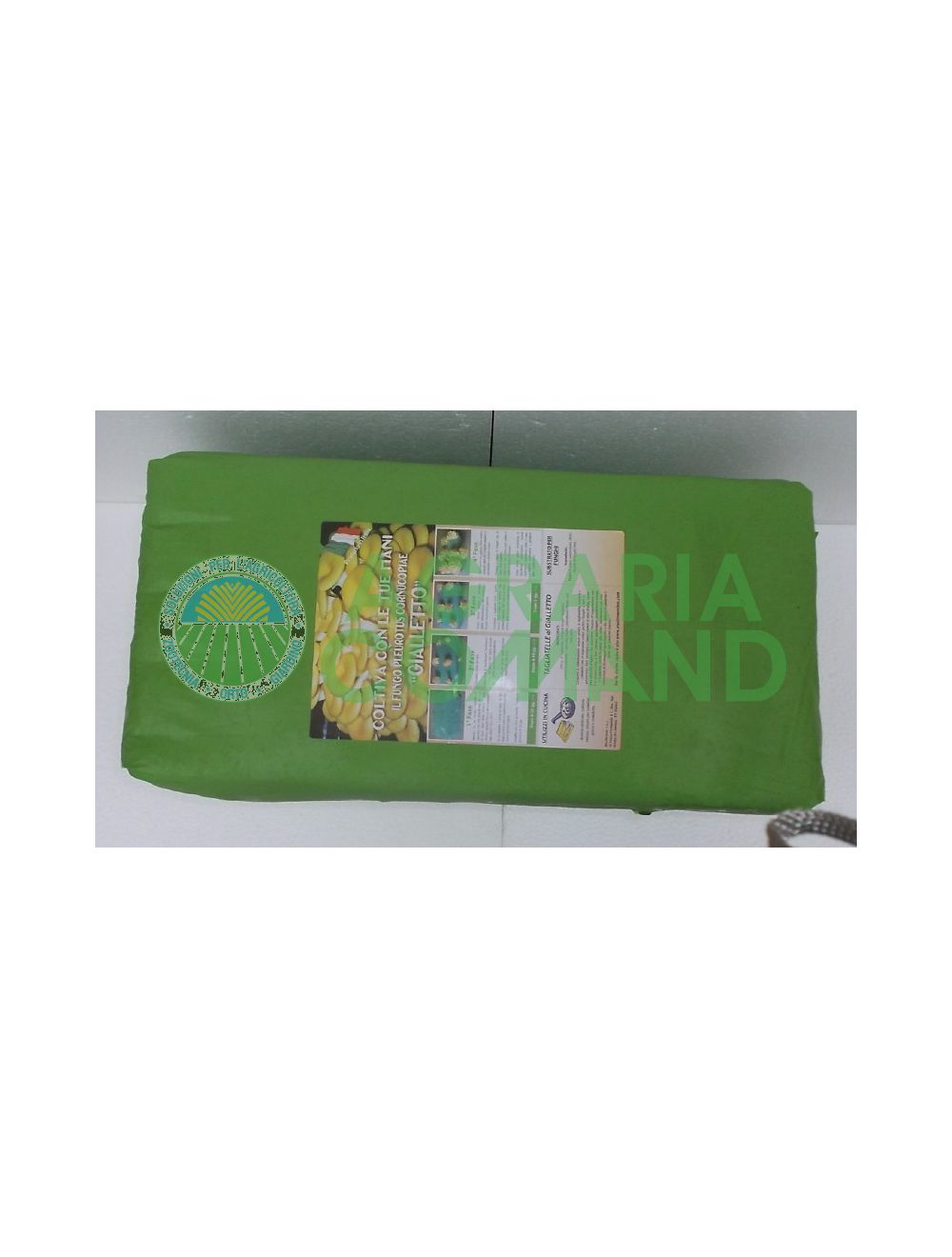 balla-funghi-gialletto balla-funghi-gialletto