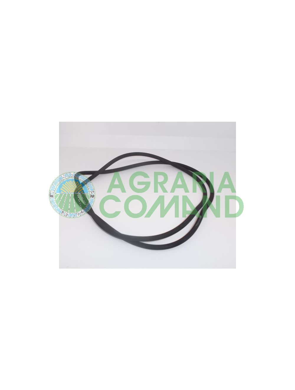 O ring coperchio filtro