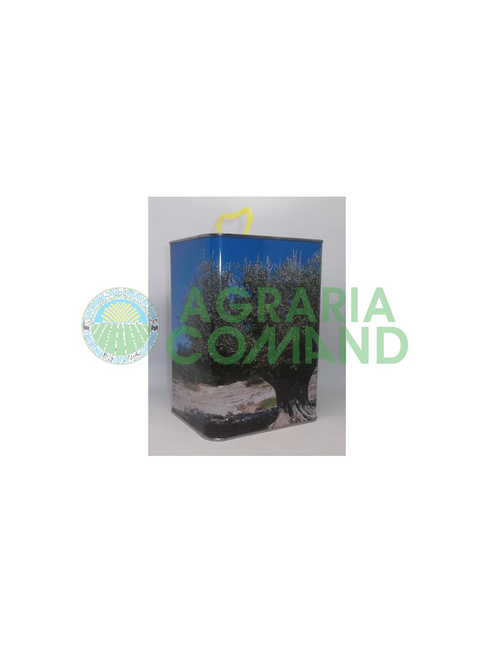 Lattine per olio Lattine per olio