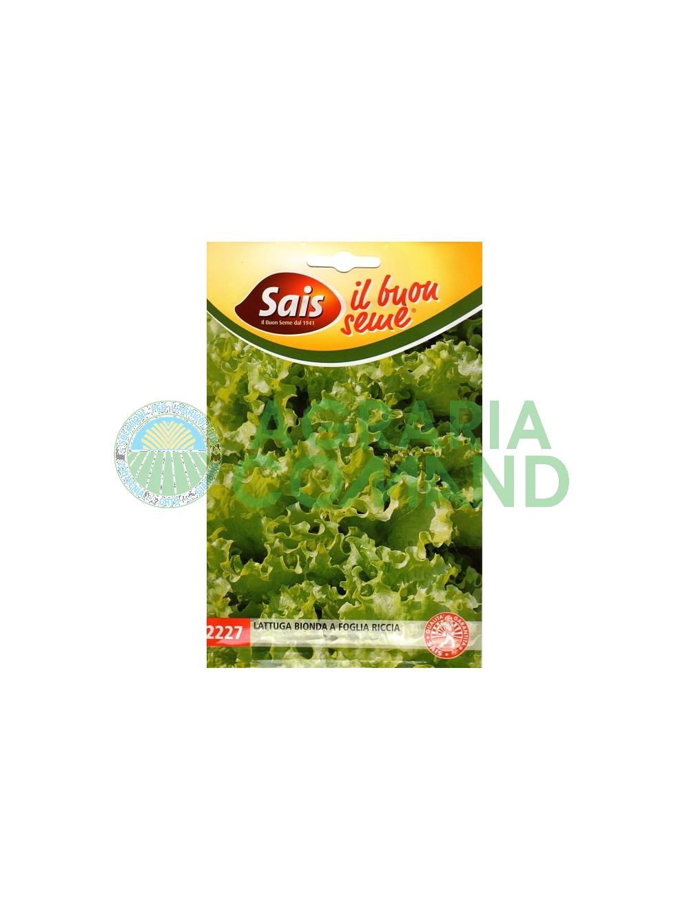 Lattuga bionda da taglio a foglia riccia Lattuga bionda da taglio a foglia riccia
