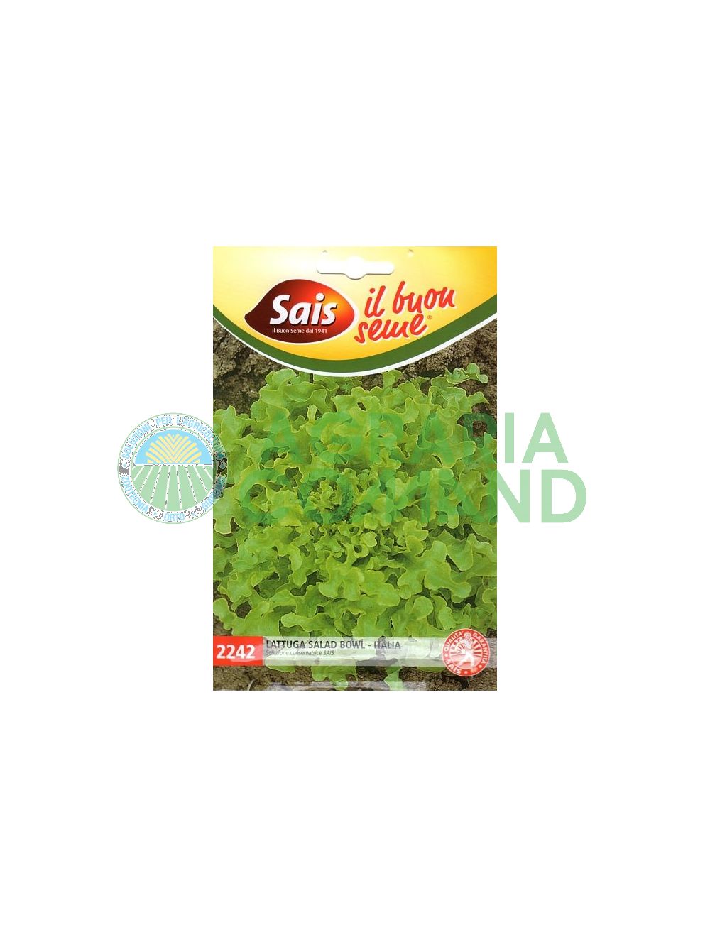 Lattuga Salad Bowl Lattuga Salad Bowl