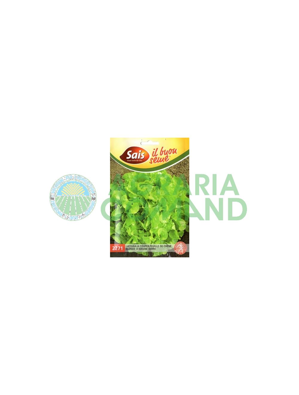 Lattuga_couper_feuille