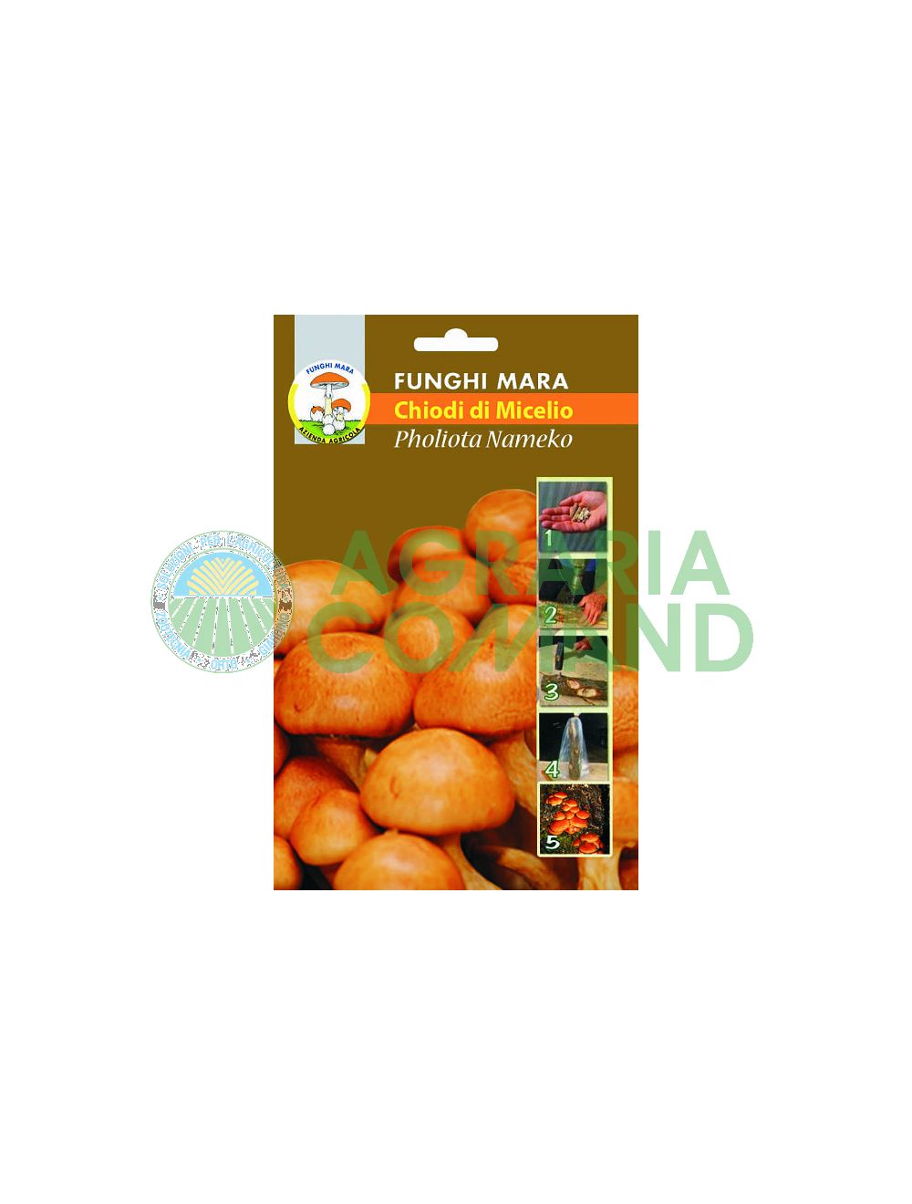 Chiodi Pholiota nameko Chiodi Pholiota nameko