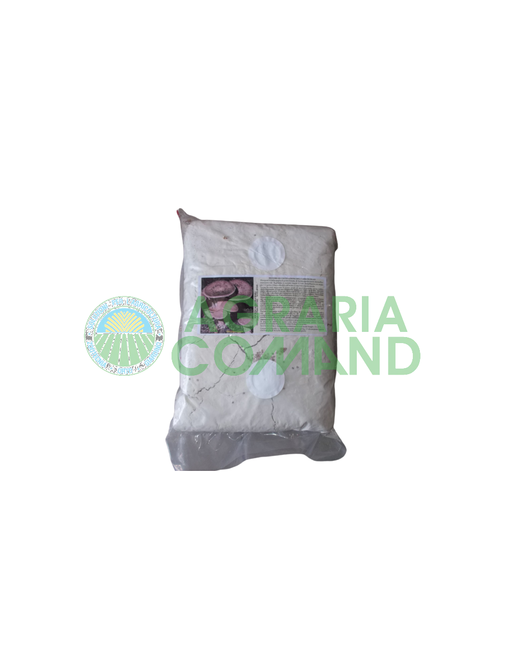 Seme micelio fresco Cardoncello Seme micelio fresco Cardoncello