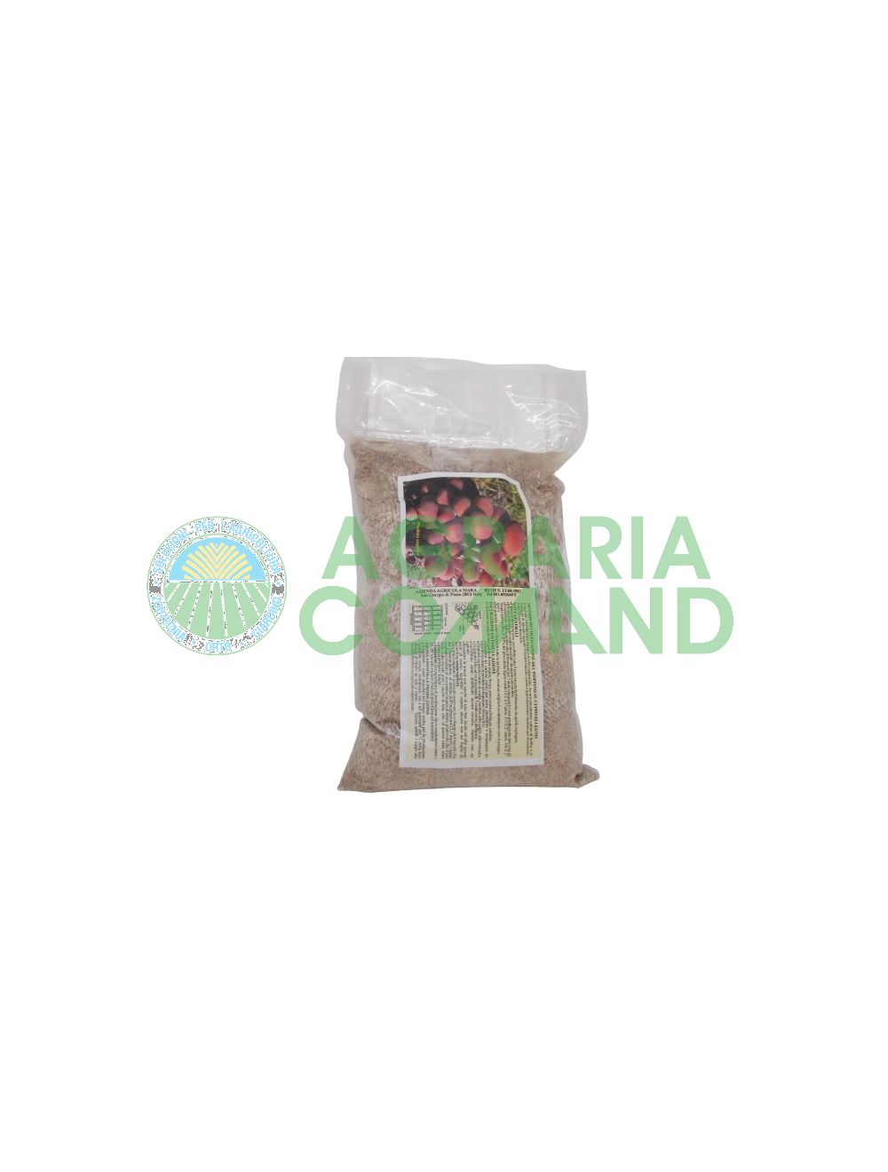 Micelio fresco pioppino Micelio fresco pioppino