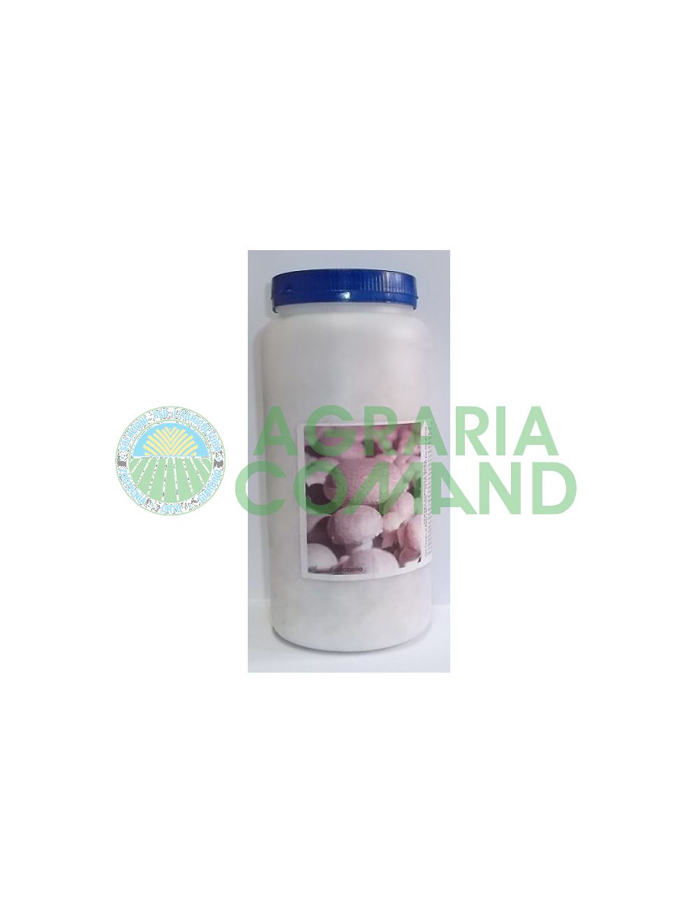 Micelio_fresco_di_prataiolo_crema Micelio_fresco_di_prataiolo_crema