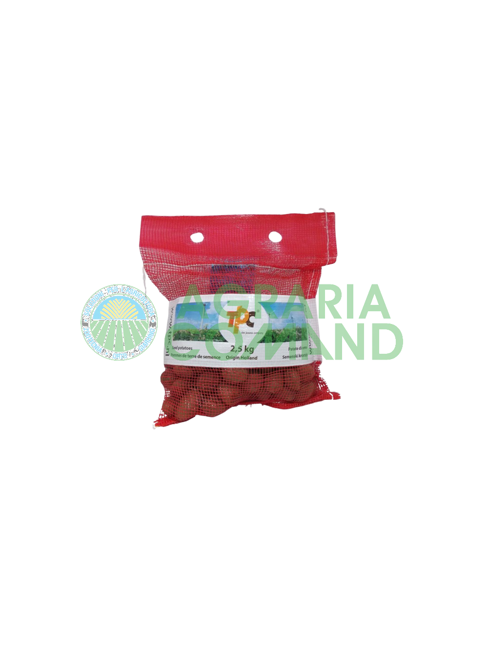 Patate sa seme mini tuberi Desiree provenienza Olanda