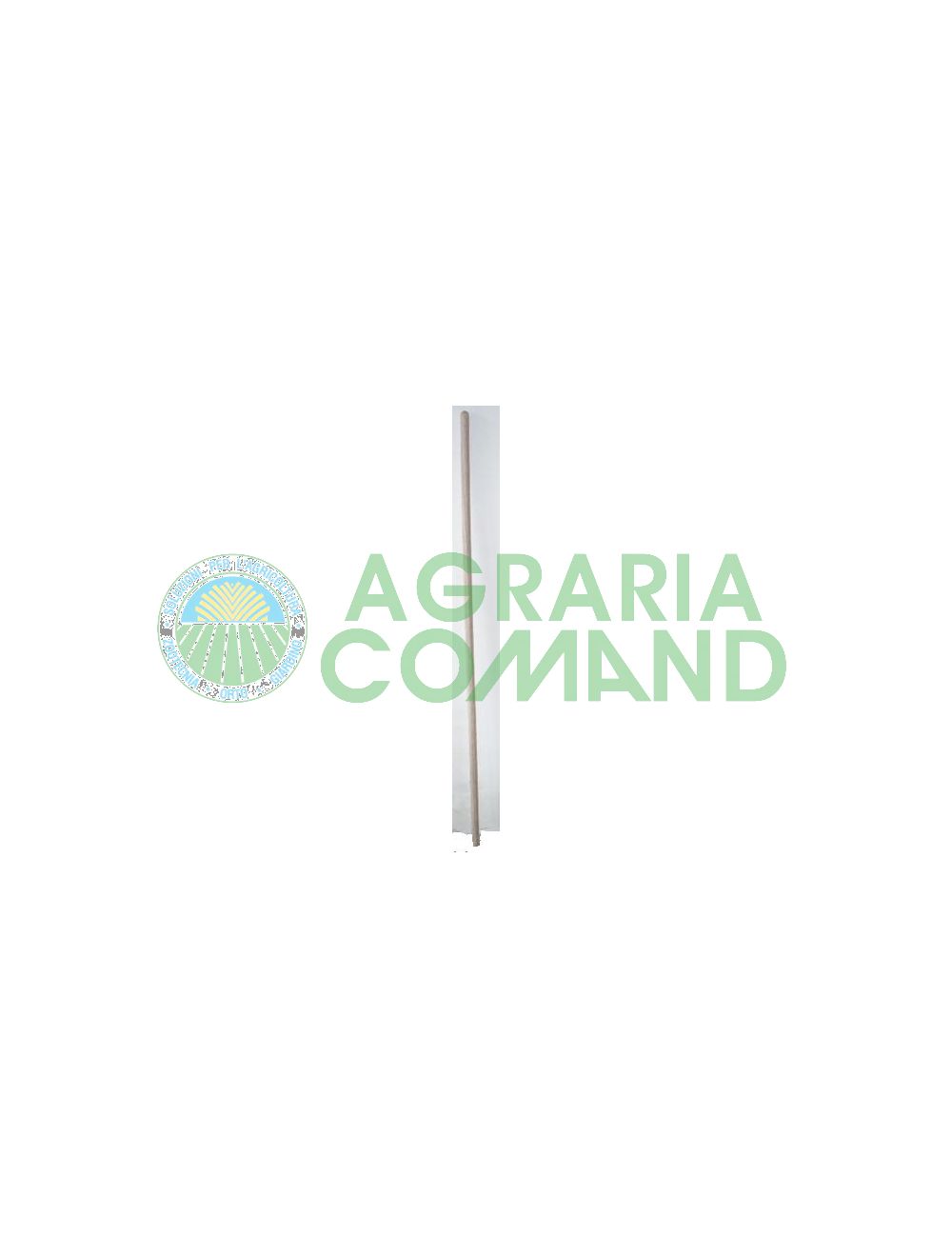 manico frassino manico frassino