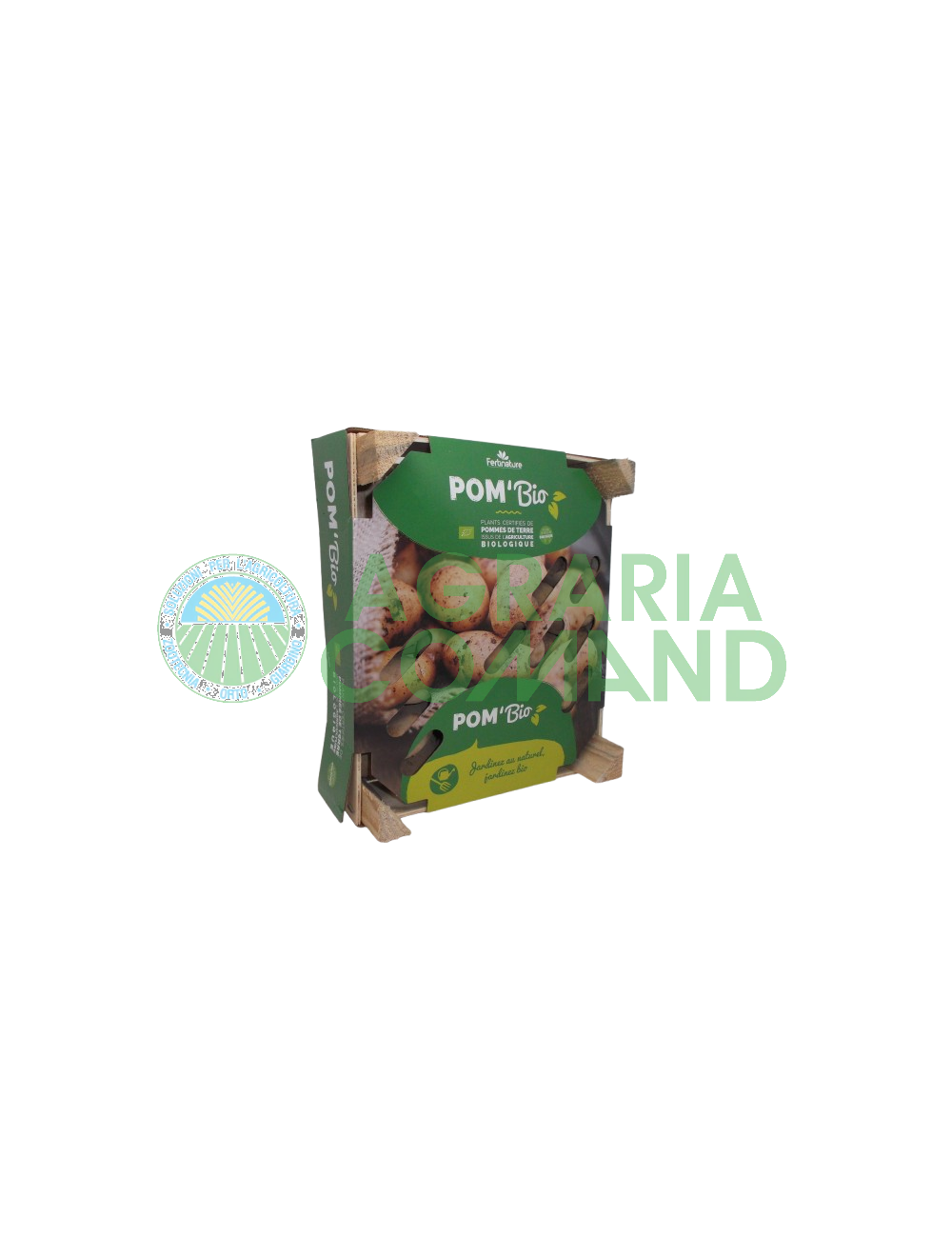 Patate da seme biologiche Charlotte