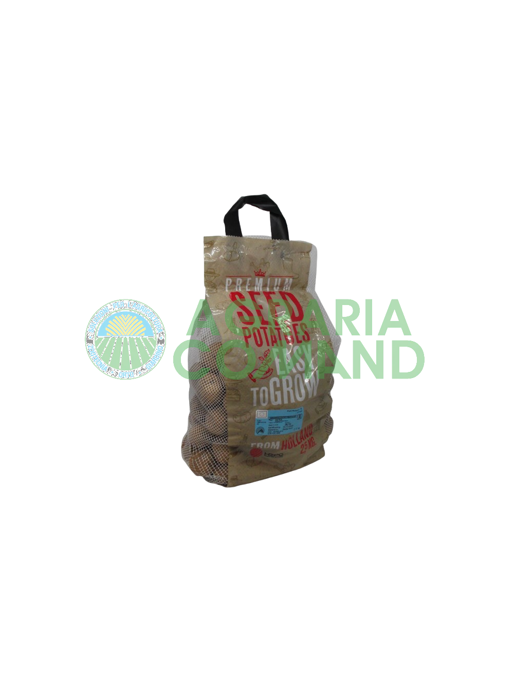 confezione patate da seme Sifra