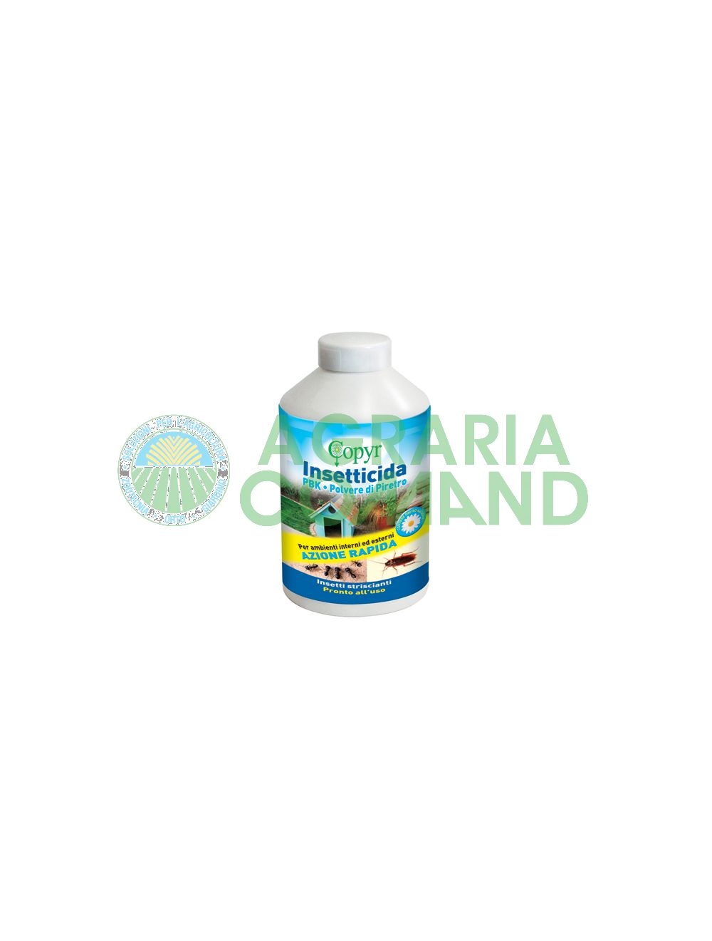 Polvere di piretro Polvere di piretro