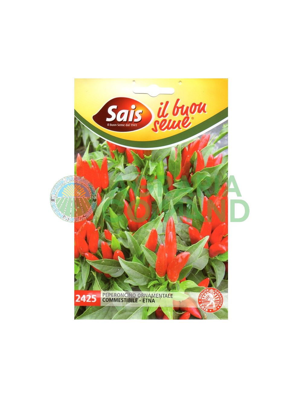 Seme peperoncino Etna