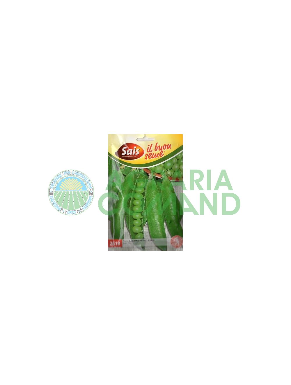 Pisello_Rondo_mezza_rama Pisello_Rondo_mezza_rama