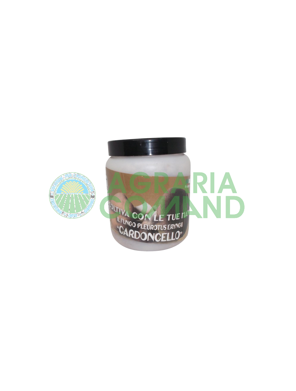 Barattolo micelio fresco Cardoncello Barattolo micelio fresco Cardoncello