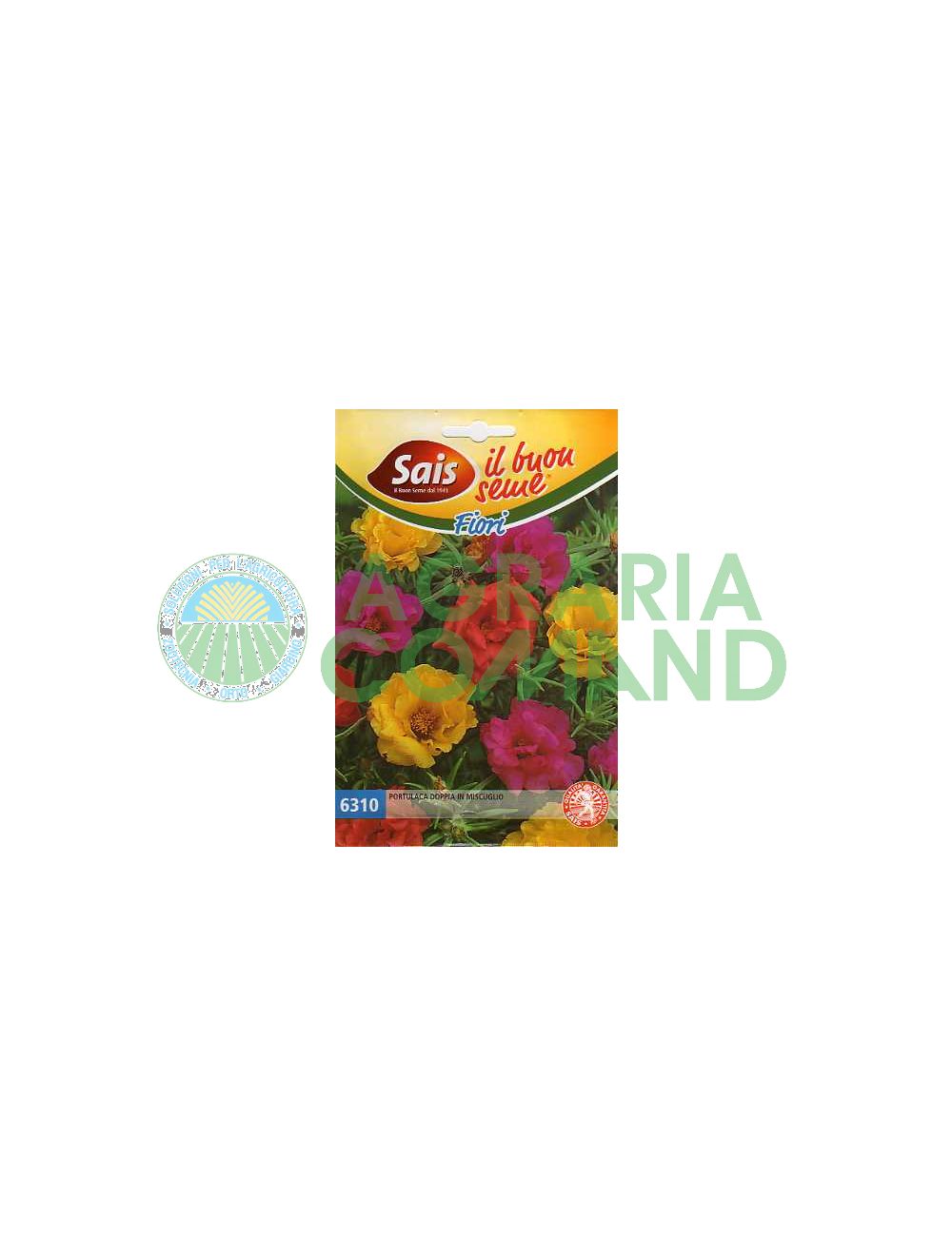 seme-portulaca-doppia-miscuglio seme-portulaca-doppia-miscuglio