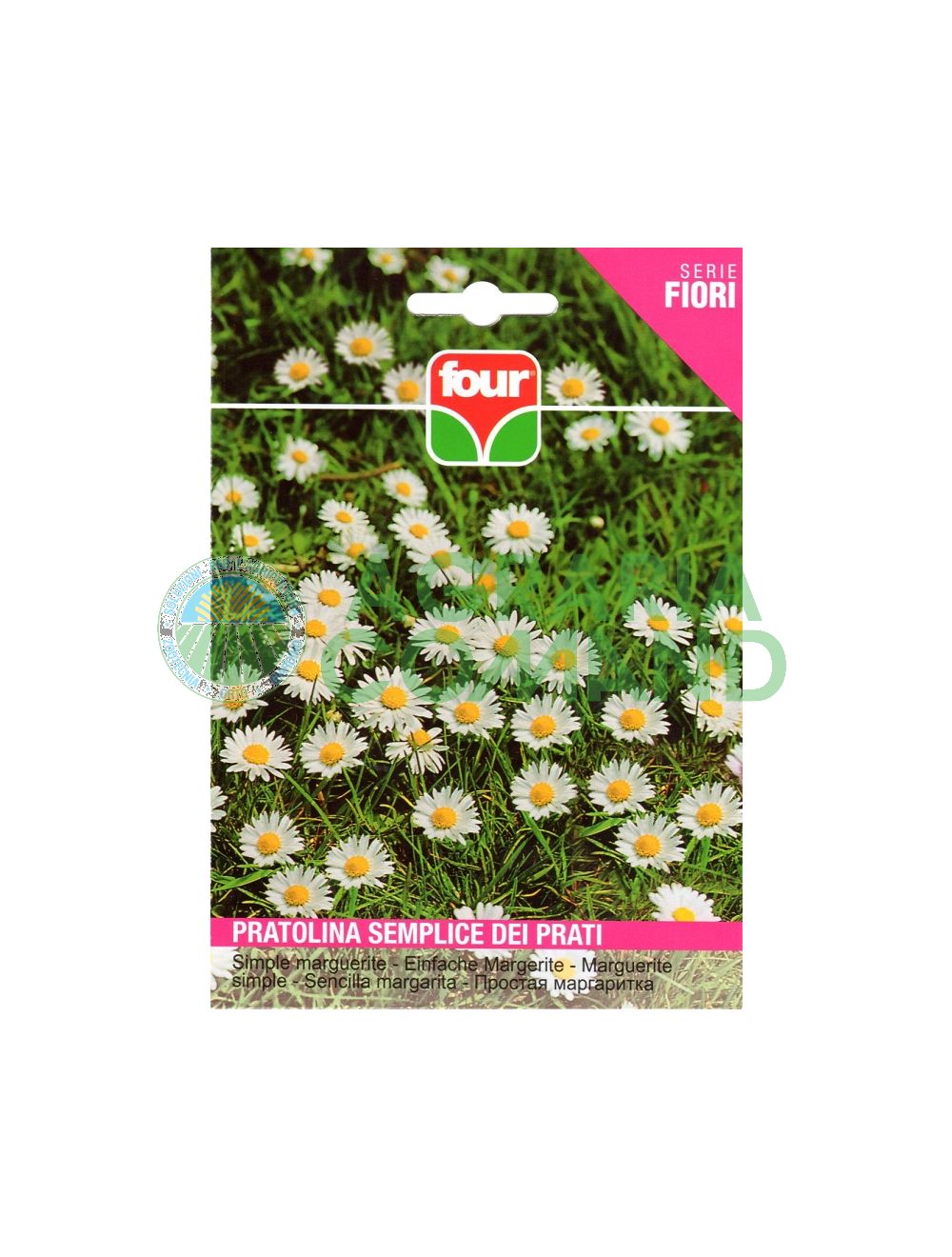 Pratolina semplice dei prati